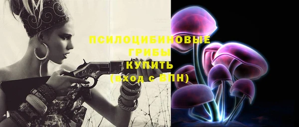бошки Зерноград