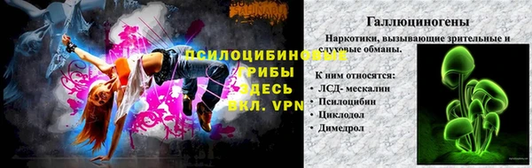 дмт Кулебаки