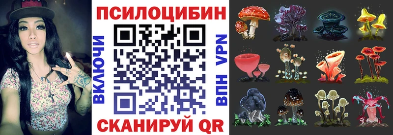 Псилоцибиновые грибы мицелий  Облучье 